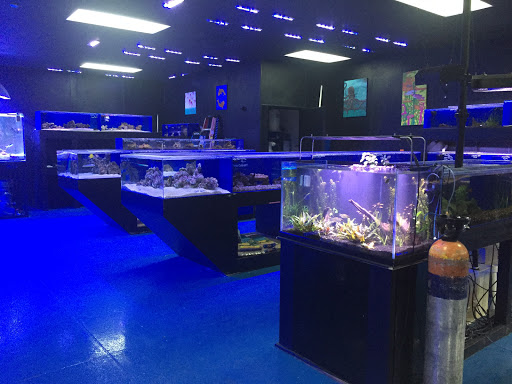 Tropical Fish Store «Epic Oceans», reviews and photos, 3217 S Mill Ave, Tempe, AZ 85282, USA
