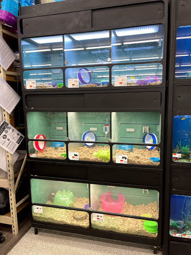 Pet Supply Store «Pet Supplies Plus», reviews and photos, 2480 Albany Ave, West Hartford, CT 06117, USA