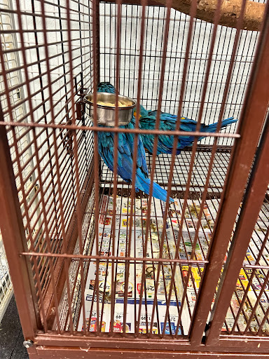 Pet Store «Adventure Birds of Bon Aqua», reviews and photos, 9600 TN-46, Bon Aqua, TN 37025, USA