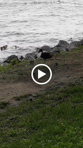 Park «Yahara Place Park», reviews and photos, 2025 Yahara Pl, Madison, WI 53704, USA