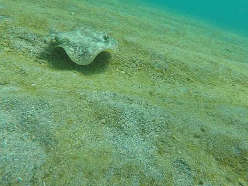 Park «El Prado Park», reviews and photos, 4500 El Mar Dr, Lauderdale-By-The-Sea, FL 33308, USA