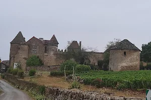 Pontus de Tyard Castle image