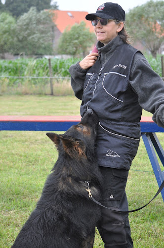 Beoordelingen van De Hondenknop - Persoonlijke Coach - privé en in groep in Andenne - Hondentrainer