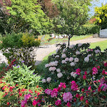 Photo n°2 de l'avis de Martin.e fait le 25/05/2023 à 12:01 sur le  Hofcafé Albertsdorf à Fehmarn