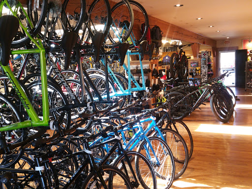 Bicycle Store «Brielle Cyclery», reviews and photos, 205 Union Ave, Brielle, NJ 08730, USA