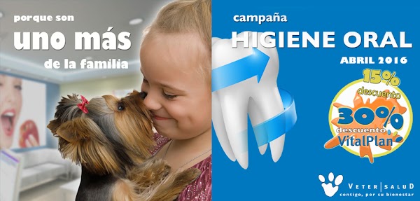 Imagen de Hospital de Día Vetersalud Malpica (7 de 7)