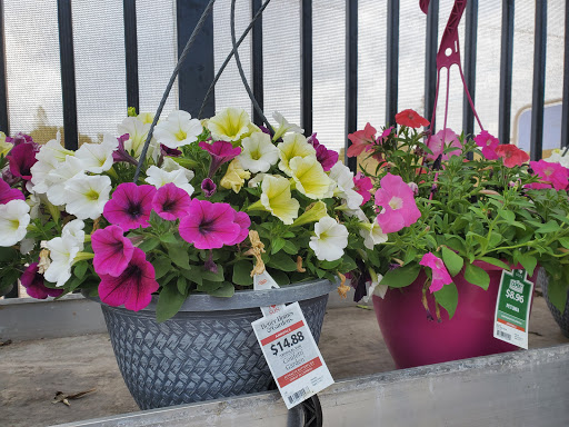 Department Store «Walmart Supercenter», reviews and photos, 9205 Gibsonton Dr, Gibsonton, FL 33534, USA