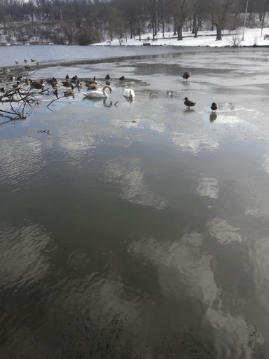 Golf Course «Van Cortlandt Park Golf Course», reviews and photos, 115 Van Cortlandt Park S, Bronx, NY 10471, USA