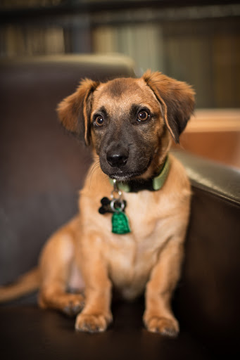 Attorney «Nicolet Law Office, S.C.», reviews and photos