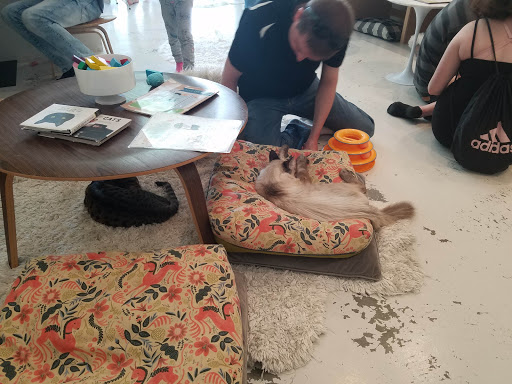 KitTea Cat Lounge image