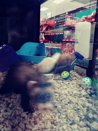 Pet Supply Store «Petco Animal Supplies», reviews and photos, 317 Boardman Poland Rd, Boardman, OH 44512, USA