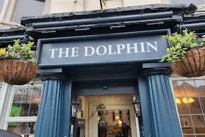 The Dolphin image
