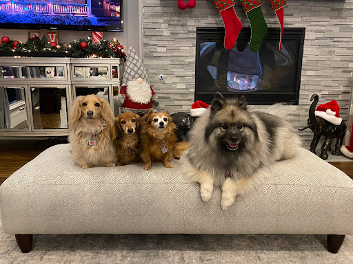 9339 Legacy Dr, Frisco, TX 75033, USA