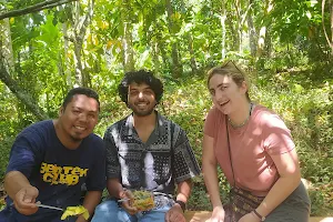 Lombok forest tour image