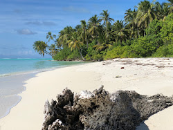 Fohtheyo bodufushi Beach'in fotoğrafı çok temiz temizlik seviyesi ile