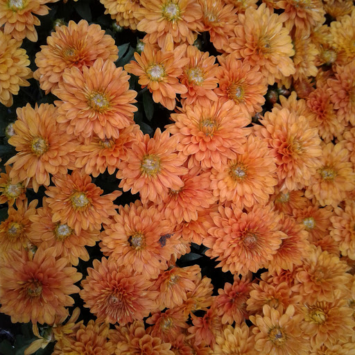 Home Improvement Store «The Home Depot», reviews and photos, 5410 Perkiomen Ave, Reading, PA 19606, USA