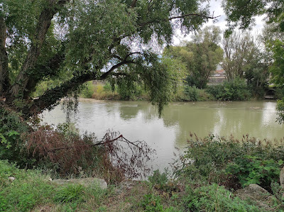 Parking des Berges de l'Aude - Palais à Carcassonne