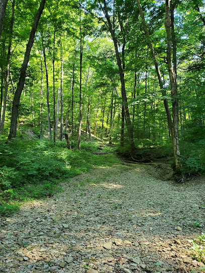 Laura Hare Preserve at Blossom Hollow