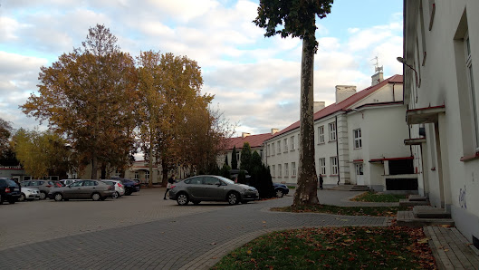 Szkoła Podstawowa nr 7 w Sochaczewie Fryderyka Chopina 99, 96-503 Sochaczew, Polska