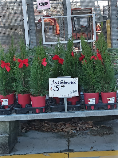 Home Improvement Store «The Home Depot», reviews and photos, 1049 Collinsville Crossing, Collinsville, IL 62234, USA