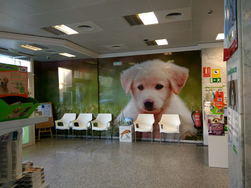 Veterinaria Helike en Foia d'Elx