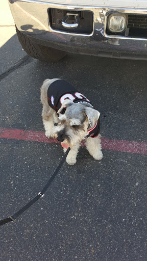 Stadium «University of Phoenix Stadium», reviews and photos, 1 Cardinals Dr, Glendale, AZ 85305, USA