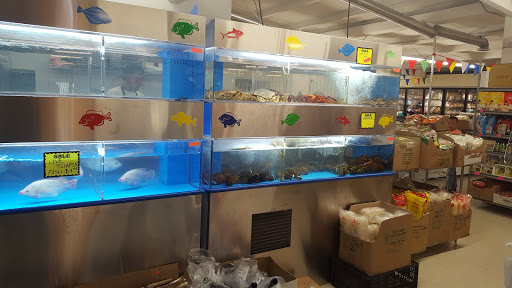 Grocery Store «YZ Asian Market», reviews and photos, 22 New Leicester Hwy, Asheville, NC 28806, USA