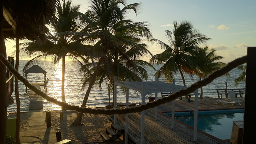 Daemi Group of Oklahoma, 10798 E 41st St, Tulsa, OK 74146, Insurance Agency