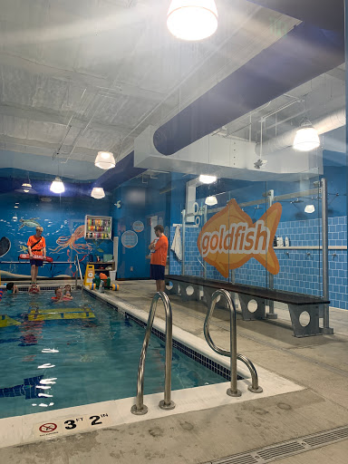 Goldfish Swim School - Shoreline