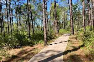 Big Thicket National Preserve, Pitcher Plant Trail image