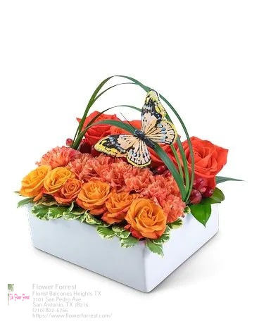 Florist «Flower Forrest», reviews and photos, 7101 San Pedro Ave, San Antonio, TX 78216, USA