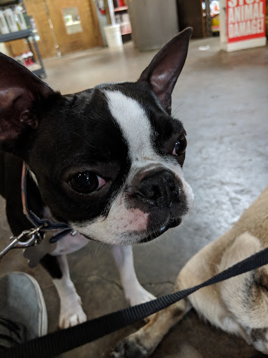 Animal Feed Store «Locke Hill Feed, Pet, & Lawn Supply», reviews and photos, 4927 Golden Quail #105, San Antonio, TX 78240, USA