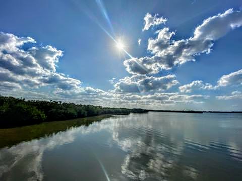 Nature Preserve «Manatee Viewing Center», reviews and photos, 6990 Dickman Rd, Apollo Beach, FL 33572, USA