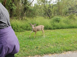 Eagleville Park - photo 30