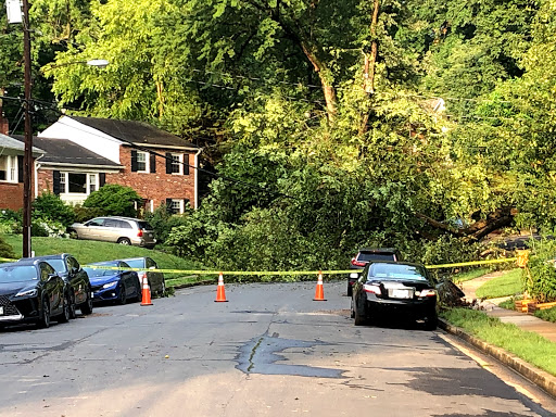 Moving and Storage Service «Gentle Giant Moving Company», reviews and photos, 5782 2nd St NE, Washington, DC 20011, USA