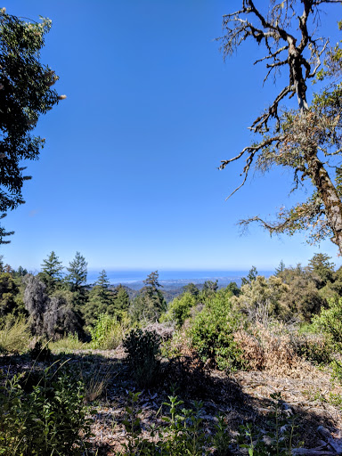 Soquel Demonstration State Forest image