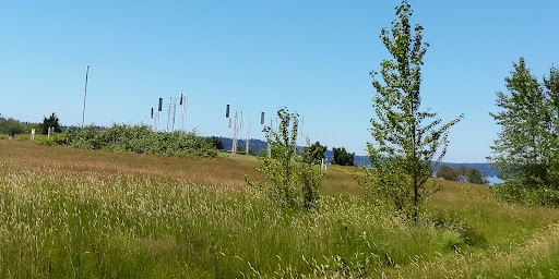 Tourist Attraction «A Sound Garden», reviews and photos, 7600 Sand Point Way NE, Seattle, WA 98115, USA