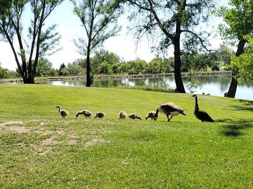 Golf Club «Indian Tree Golf Club», reviews and photos, 7555 Wadsworth Blvd, Arvada, CO 80003, USA