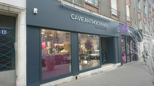 Caviste Cave Anthocyanes - Bourrée Fabrice Orléans