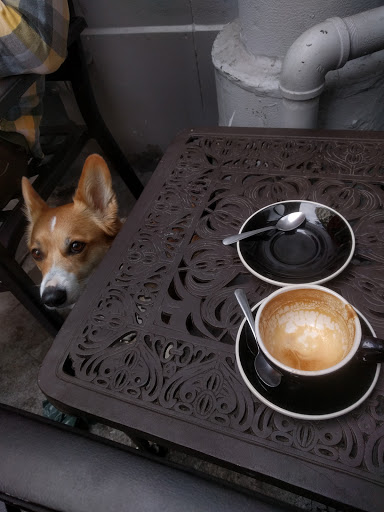 Coffee Shop «Spring For Coffee», reviews and photos, 548 S Spring St #106, Los Angeles, CA 90013, USA