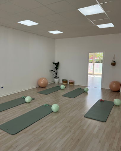 Insaid Pilates & Wellness - Passeig de la Universitat, 11, 12006 Castelló de la Plana, Castelló, Spain