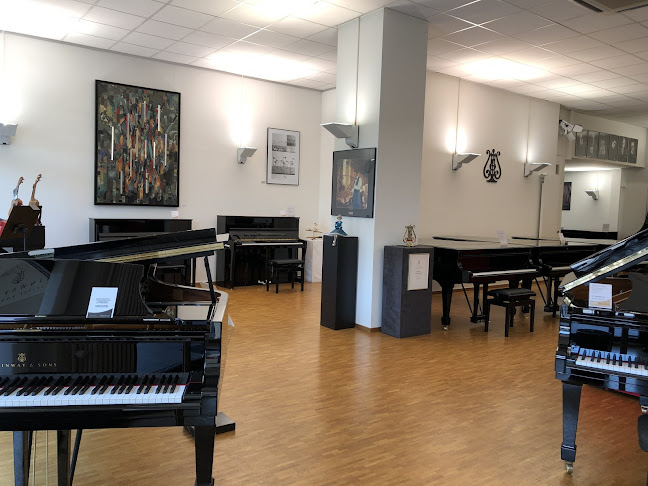 Rezensionen über Steinway Piano Gallery Lausanne in Lausanne - Musikgeschäft