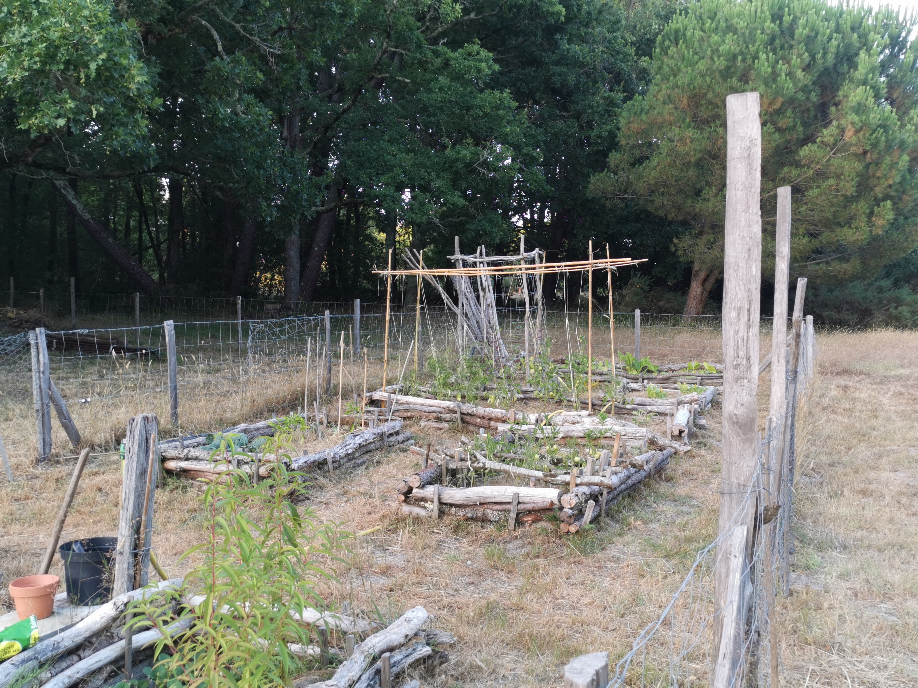 Photo n° 11 de l'avis de Marie.o fait le 16/07/2020 à 19:13