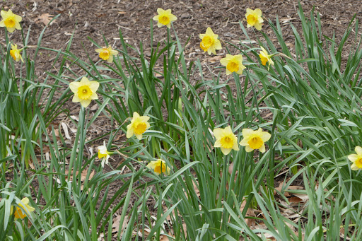 Computer Store «Apple Georgetown», reviews and photos, 1229 Wisconsin Ave NW, Washington, DC 20007, USA