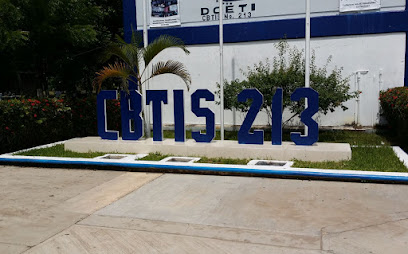 CBTIS 213
