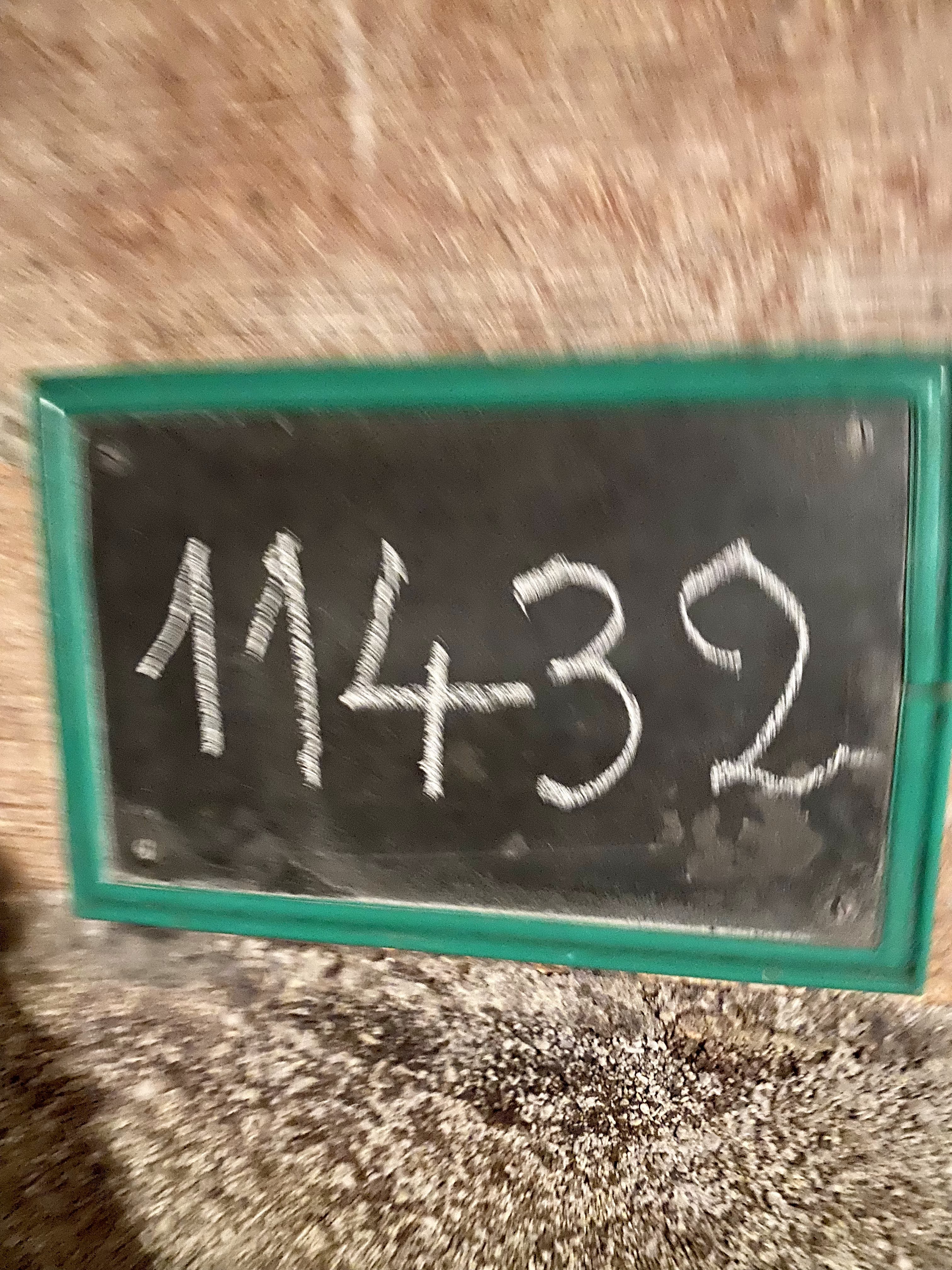 Photo n° 7 de l'avis de Mieke.a fait le 22/10/2021 à 21:16