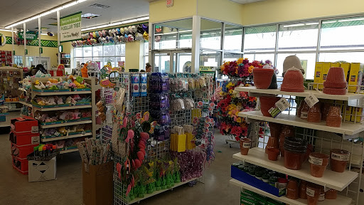 Dollar Store «Dollar Tree», reviews and photos, 11236 S Saginaw St A, Grand Blanc, MI 48439, USA