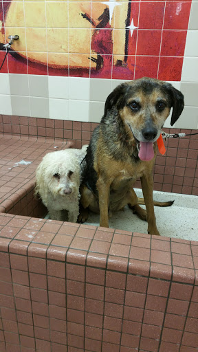 Pet Supply Store «Pet Food Express», reviews and photos, 9153 W Olympic Blvd, Beverly Hills, CA 90212, USA