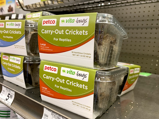 Pet Supply Store «Petco Animal Supplies», reviews and photos, 3452 W Chandler Blvd, Chandler, AZ 85226, USA