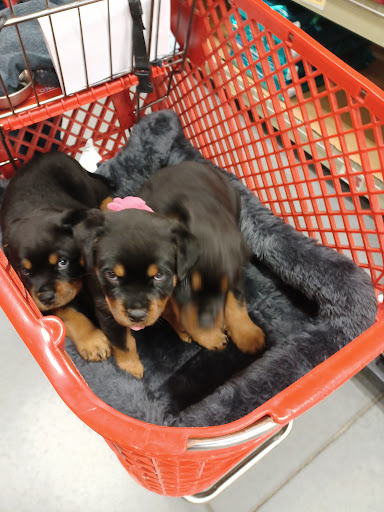 Pet Supply Store «Care-A-Lot Pet Supply Indian River», reviews and photos, 5457 Indian River Rd, Virginia Beach, VA 23464, USA